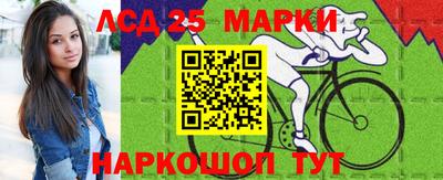 мяу мяу мука Гатчина