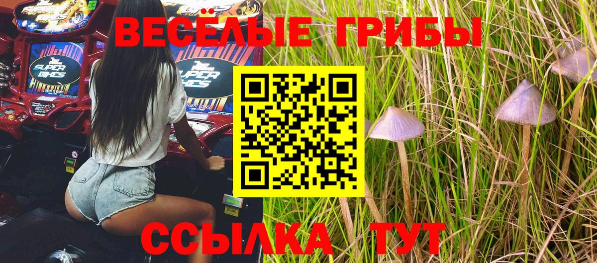 купить   Псилоцибиновые грибы Psilocybe  Вход с VPN  Нальчик 
